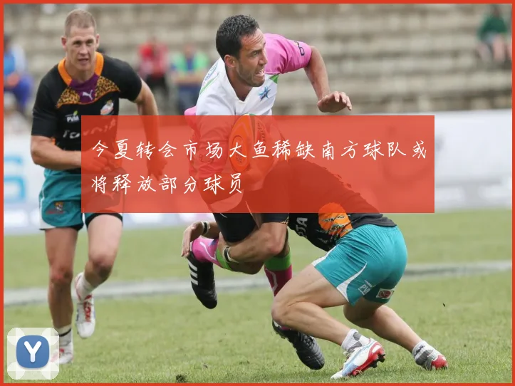 今夏转会市场大鱼稀缺南方球队或将释放部分球员